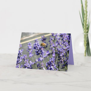 Abuzz with Lavender Greeting Card