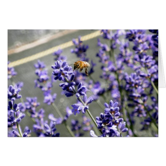 Abuzz with Lavender Greeting Card