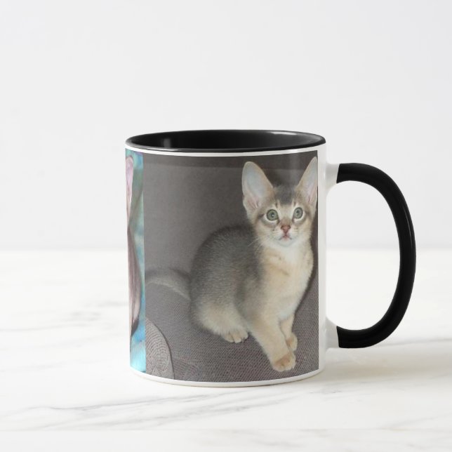 Abyssinian blue male kitten mug (Right)