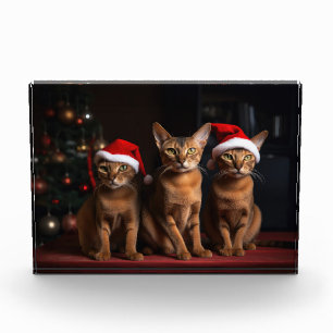 Abyssinian by the Fireplace Christmas Photo Block