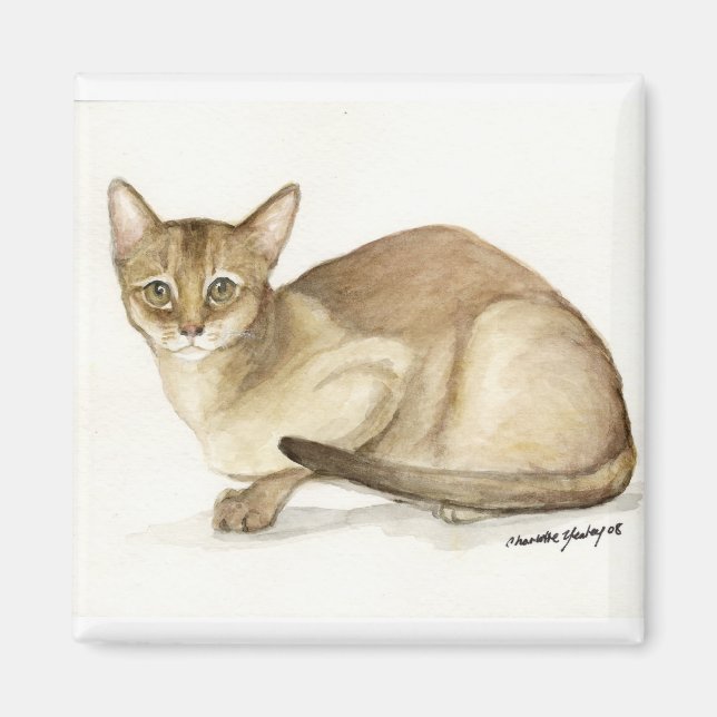 "Abyssinian Cat" Art Reproduction Magnet (Front)