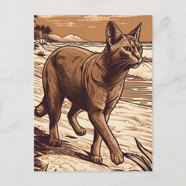 Abyssinian-Cat at a tropical beach during sunset Postcard (Front)