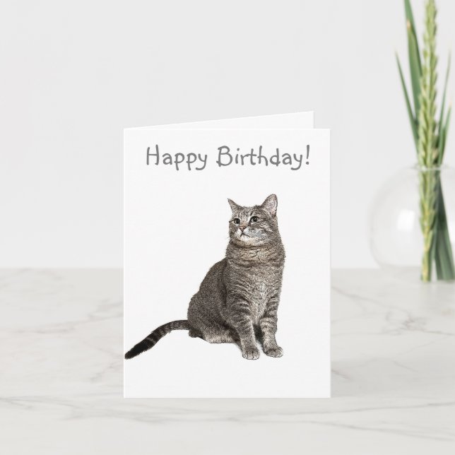 Abyssinian Cat Birthday Card (Front)