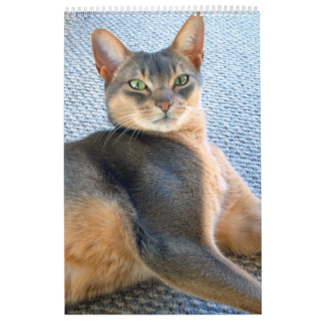 Abyssinian Cat Calendar (customise any year) (Cover)