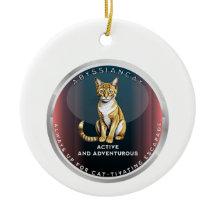 Abyssinian Cat