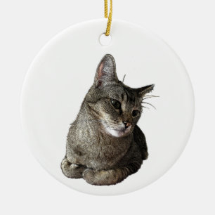Abyssinian Cat  Ceramic Ornament