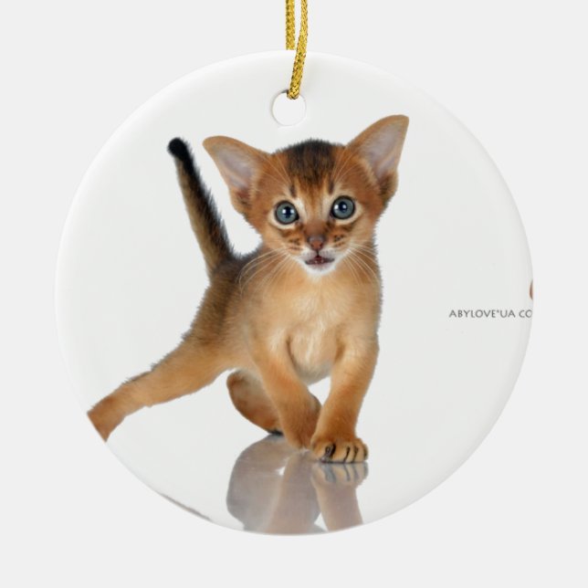 Abyssinian cat ceramic tree decoration (Front)