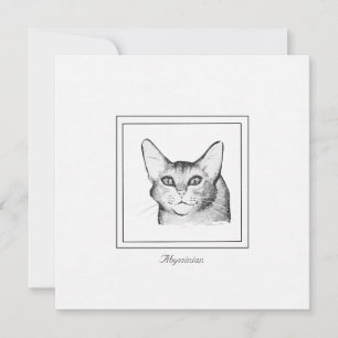 Abyssinian Cat Drawing Flat Note Card