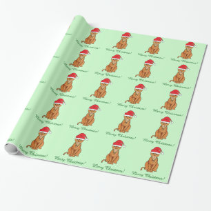 Abyssinian Cat in Santa Hat Wrapping Paper