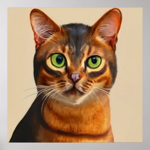 Abyssinian - Cat Portrait Poster