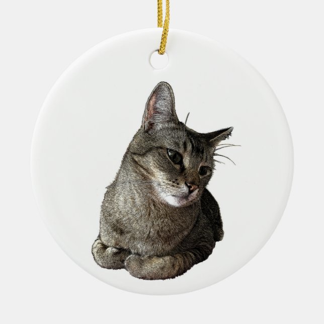Abyssinian Cat Round Ornament (Front)