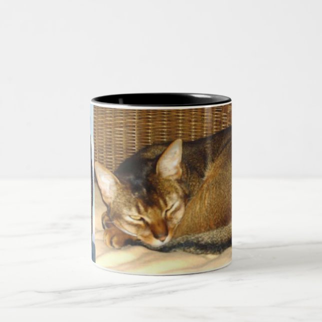 Abyssinian Cat Ruddy Fur Two-Tone Coffee Mug (Center)