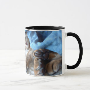Abyssinian Cat Sleeping Mug