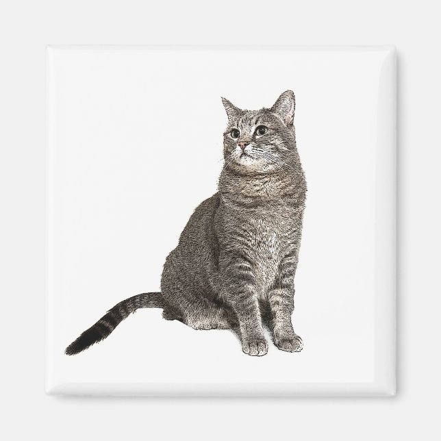 Abyssinian Cat Square Magnet (Front)
