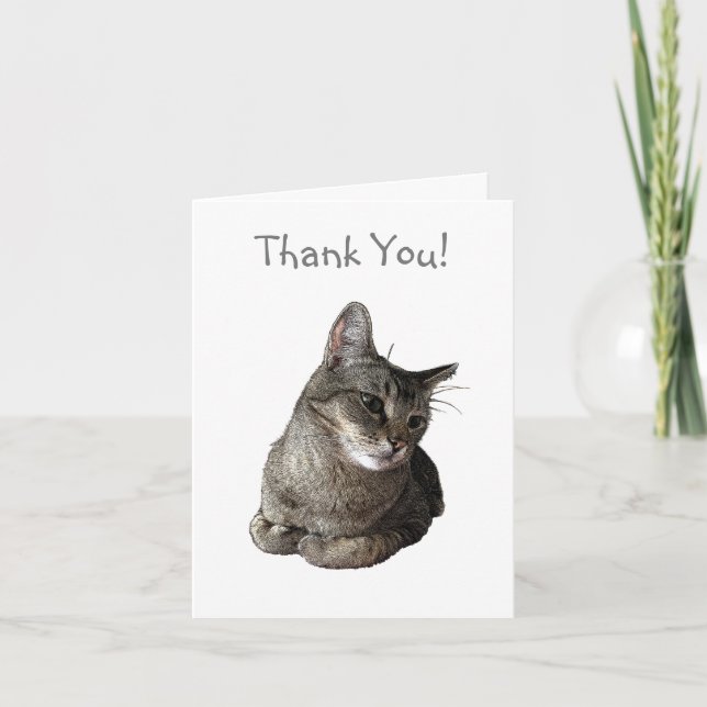 Abyssinian Cat Thank You Card (Front)