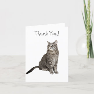 Abyssinian Cat Thank You Card