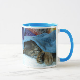 Abyssinian Cats Mug