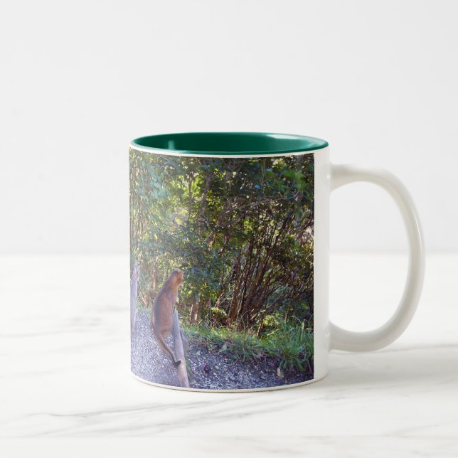 Abyssinian Cats Two-Tone Coffee Mug (Right)
