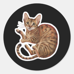 Abyssinian Classic Round Sticker