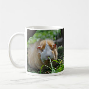 Abyssinian, Cream and White, Guinea Pig in Grass Coffee Mug