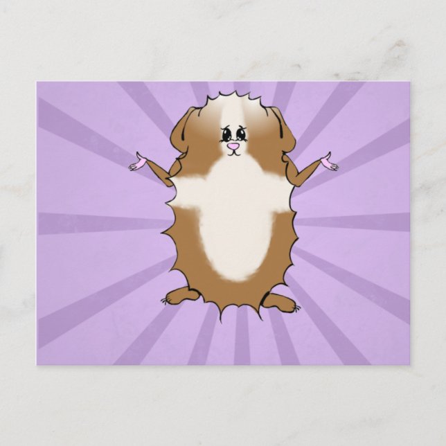 Abyssinian Guinea Pig Comic Blank Postcard (Front)