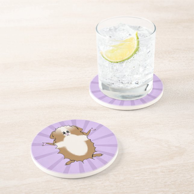 Abyssinian Guinea Pig Comic Coaster (Side)