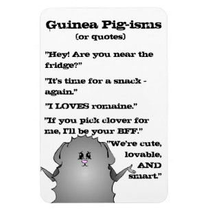 Abyssinian Guinea Pig Sayings Magnet
