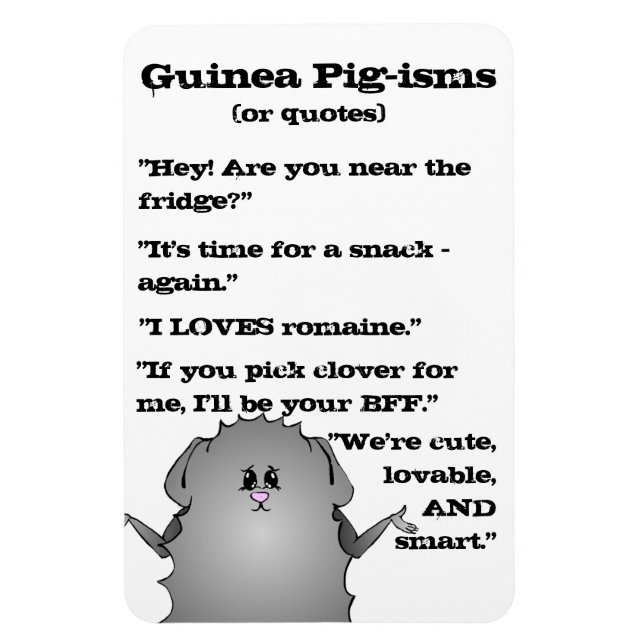 Abyssinian Guinea Pig Sayings Magnet (Vertical)