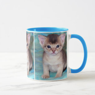 Abyssinian Kitten Mugs