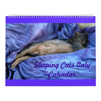 Abyssinian Sleeping Cats Calendar