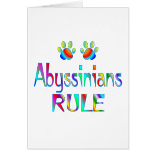 Abyssinians Rule