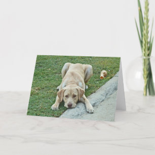 AC- Yellow Labrador Puppy Notecards