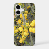 Acacia