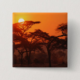 Acacia forest silhouetted at sunset, Tarangire 15 Cm Square Badge