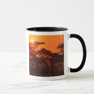 Acacia forest silhouetted at sunset, Tarangire Mug