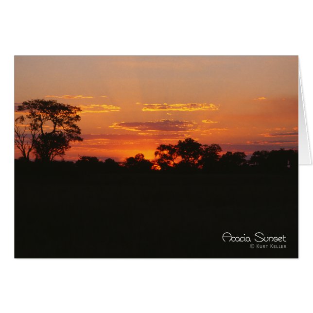Acacia Sunset (Front Horizontal)