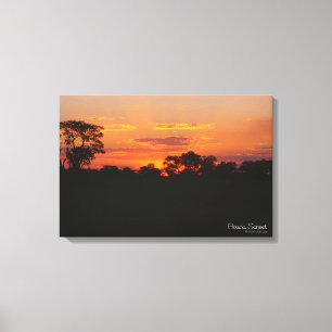 Acacia Sunset Canvas Print