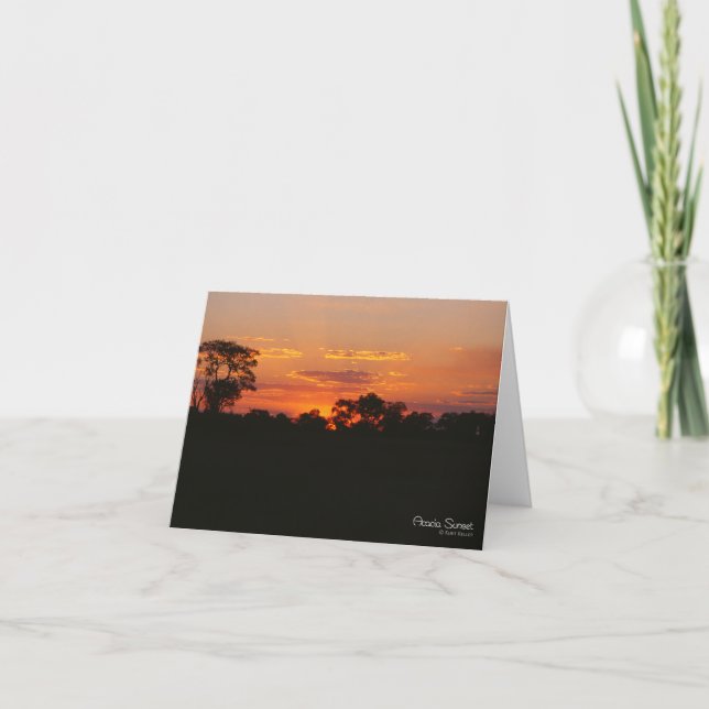 Acacia Sunset Greeting Card (Front)