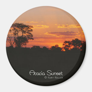 Acacia Sunset Magnet