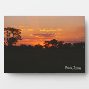 Acacia Sunset Plaque