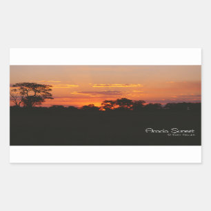 Acacia Sunset Rectangular Sticker