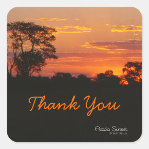 Acacia Sunset Thank You Stickers