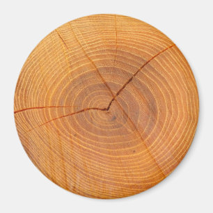 Acacia Tree Cross Section Large Round Magnet