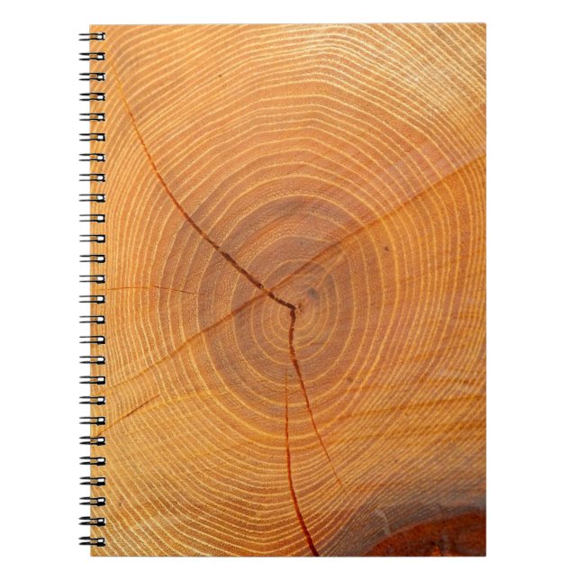 Acacia Tree Cross Section Photo Notebook (Front)