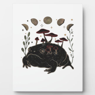 Academia Moon Witchy Goblincore Aesthetic Frog Cla Plaque