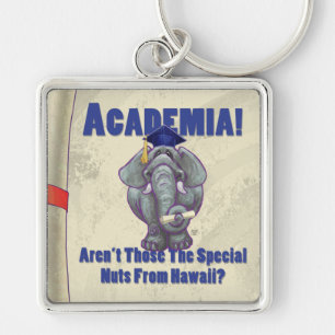 Academia Scroll Key Ring
