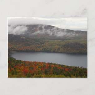 Acadia Fall Trees Postcard