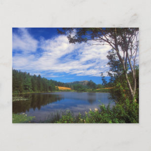 Acadia Long Pond View Postcard