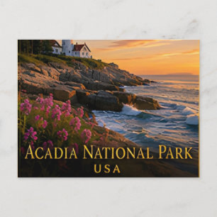 Acadia Maine Rocky Coast & Cadillac Mountain Postcard