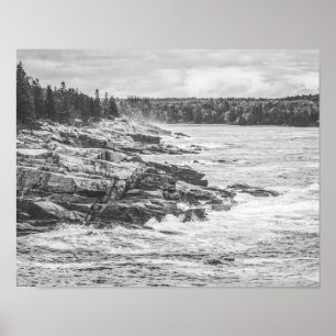 Acadia Maine Rocky Coastline Black and White Poster